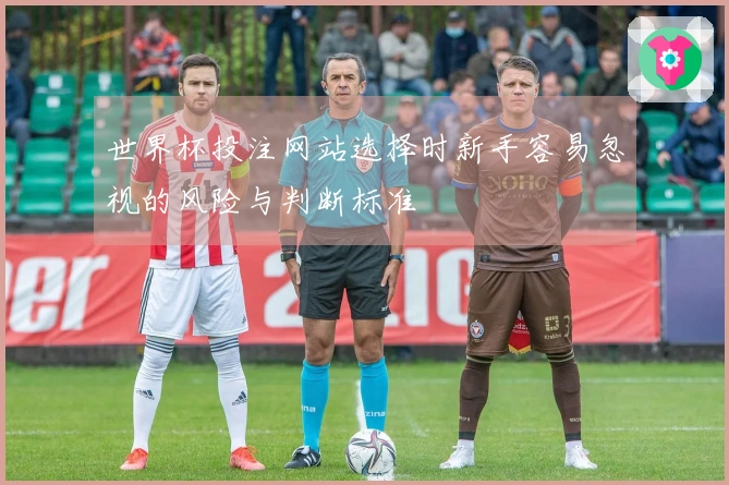 世界杯投注网站选择时新手容易忽视的风险与判断标准