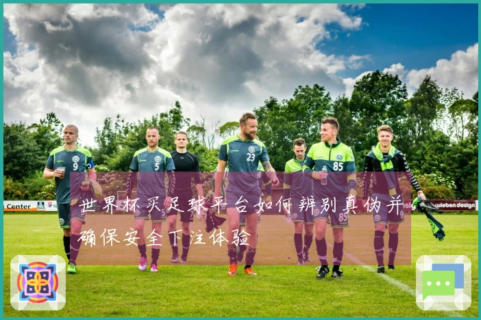 世界杯买足球平台如何辨别真伪并确保安全下注体验
