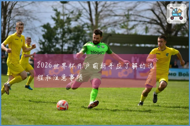 2026世界杯开户前新手应了解的流程和注意事项
