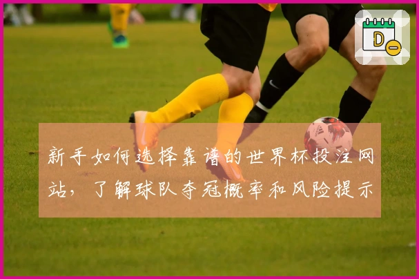 新手如何选择靠谱的世界杯投注网站，了解球队夺冠概率和风险提示