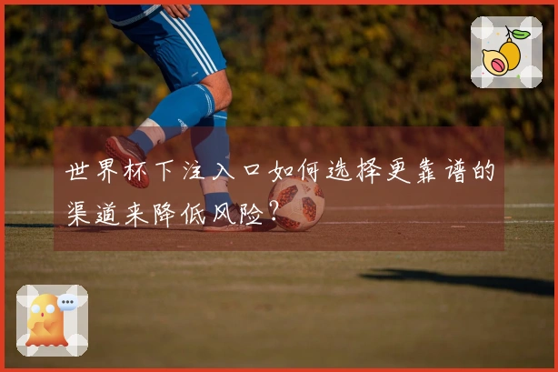 世界杯下注入口如何选择更靠谱的渠道来降低风险？