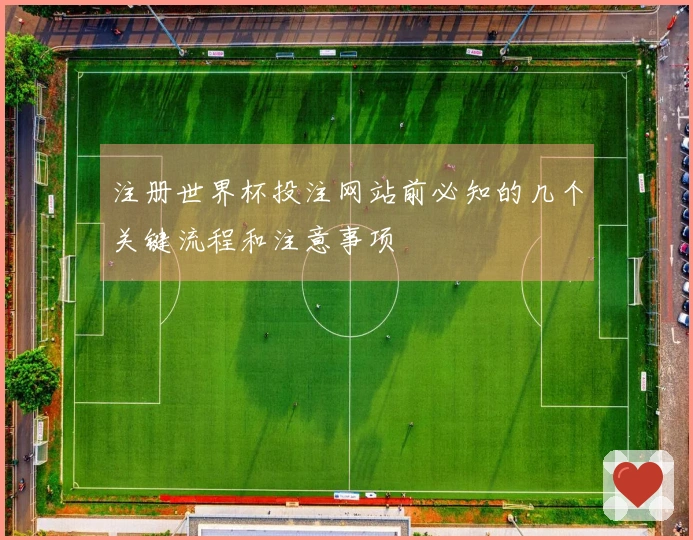 注册世界杯投注网站前必知的几个关键流程和注意事项