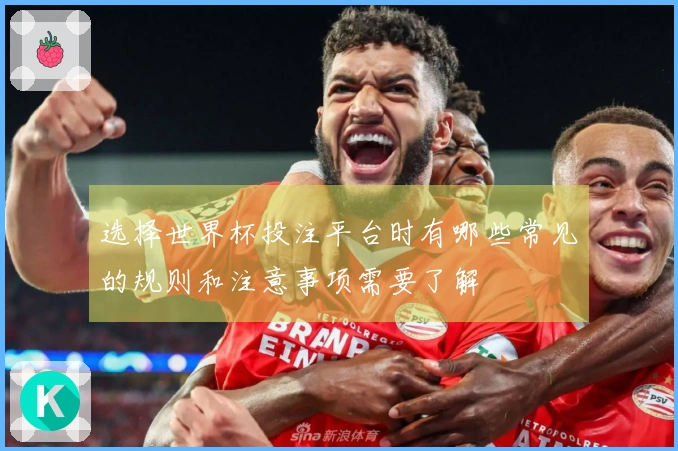 选择世界杯投注平台时有哪些常见的规则和注意事项需要了解