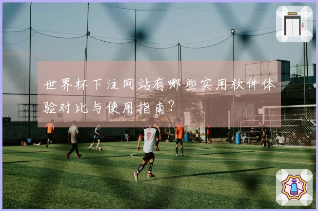 世界杯下注网站有哪些实用软件体验对比与使用指南？