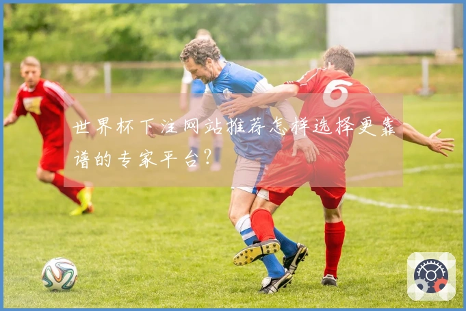 世界杯下注网站推荐怎样选择更靠谱的专家平台？