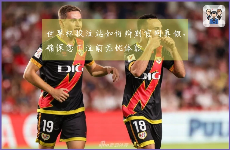 世界杯投注站如何辨别官网真假，确保您下注前无忧体验