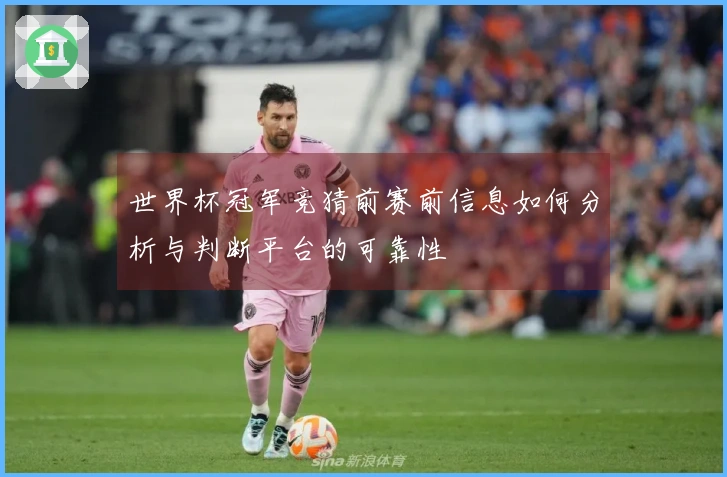 世界杯冠军竞猜前赛前信息如何分析与判断平台的可靠性