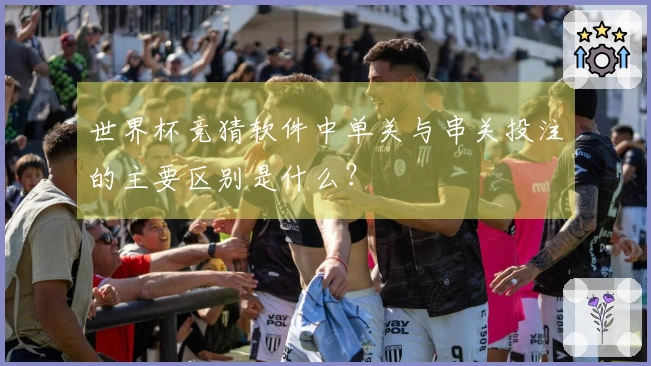 世界杯竞猜软件中单关与串关投注的主要区别是什么？