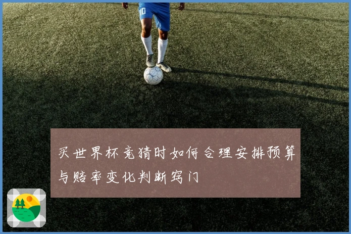 买世界杯竞猜时如何合理安排预算与赔率变化判断窍门