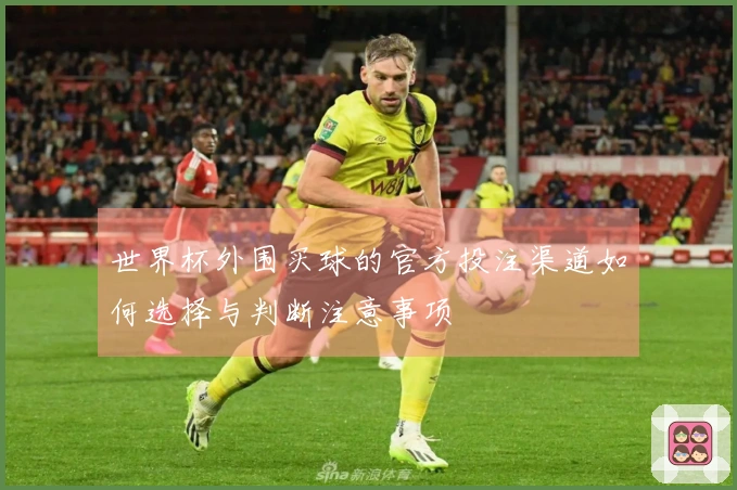 世界杯外围买球的官方投注渠道如何选择与判断注意事项