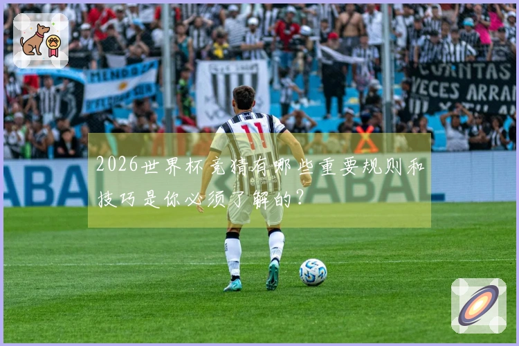 2026世界杯竞猜有哪些重要规则和技巧是你必须了解的？
