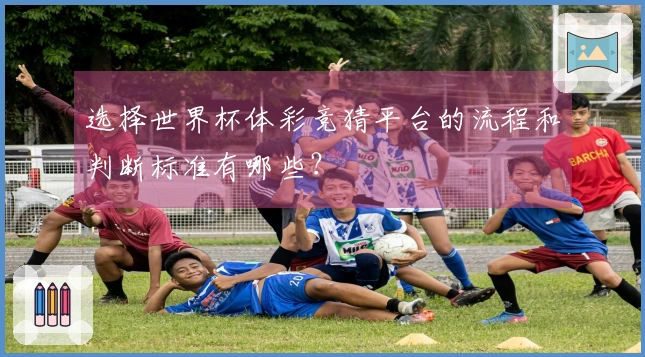 选择世界杯体彩竞猜平台的流程和判断标准有哪些？