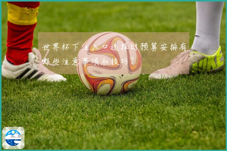 世界杯下注入口选择时预算安排有哪些注意事项和技巧?