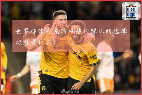 世界杯体彩竞猜中热门球队的选择标准是什么？