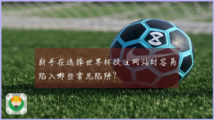 新手在选择世界杯投注网站时容易陷入哪些常见陷阱？