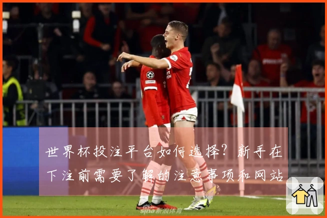 世界杯投注平台如何选择？新手在下注前需要了解的注意事项和网站对比技巧