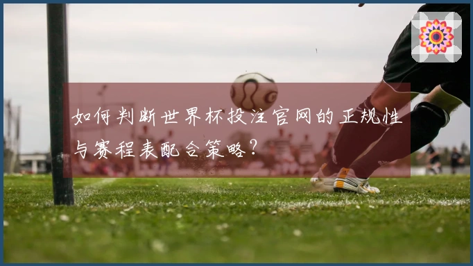 如何判断世界杯投注官网的正规性与赛程表配合策略？
