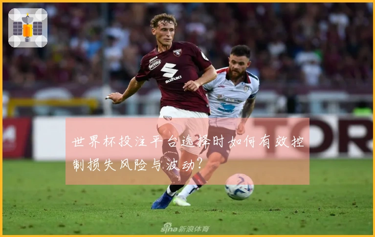世界杯投注平台选择时如何有效控制损失风险与波动？