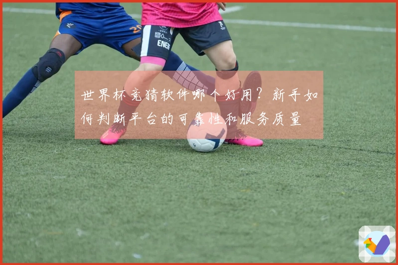 世界杯竞猜软件哪个好用？新手如何判断平台的可靠性和服务质量
