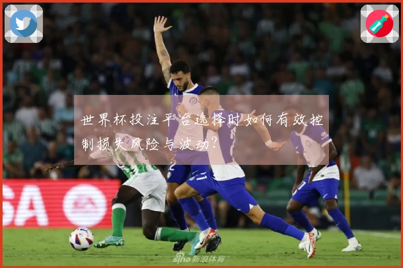 世界杯投注平台选择时如何有效控制损失风险与波动？