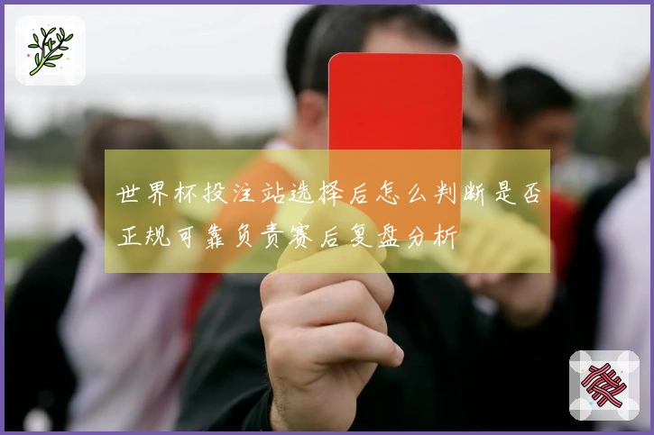 世界杯投注站选择后怎么判断是否正规可靠负责赛后复盘分析