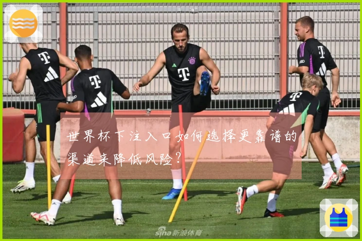 世界杯下注入口如何选择更靠谱的渠道来降低风险？