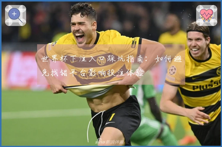 世界杯下注入口踩坑指南：如何避免找错平台影响投注体验
