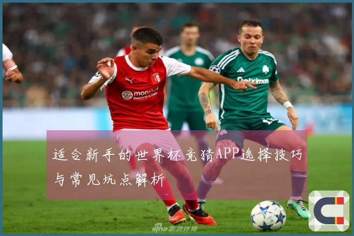 适合新手的世界杯竞猜APP选择技巧与常见坑点解析